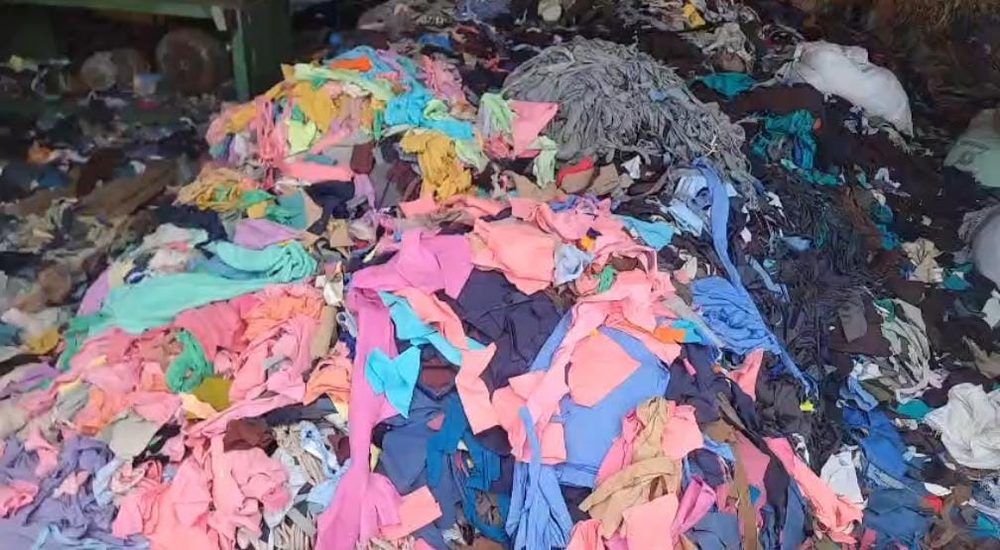 Shoddy fibre waste and rug material